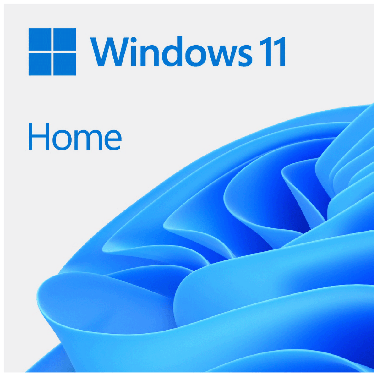 Microsoft Windows 11 Home OEM