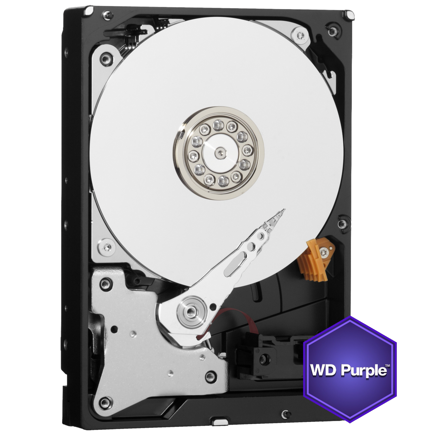 Western Digital Hard disk 3,5", 1TB, Caviar Purple, pog. za video nadzor - WD10PURZ