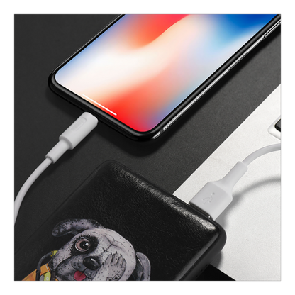 hoco. USB kabl za iPhone, Lightning kabl, 1 met., 2 A, bijela - X25 Soarer Lightning, White