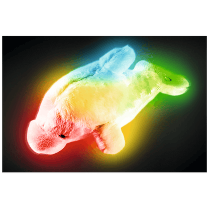 home Noćno svjetlo, plišani delfin - PD 01/BL