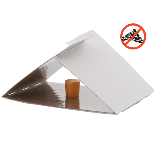 Silverline Zamka za  moljce, pakiranje 2 kom. - IN 22482