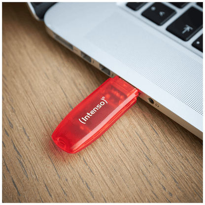 (Intenso) USB Flash drive 128GB Hi-Speed USB 2.0, Rainbow Line, RED - USB2.0-128GB/Rainbow