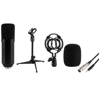 SAL Mikrofon, studijski, sa postoljem, 3.5 mm, 2.4 met. - M 12