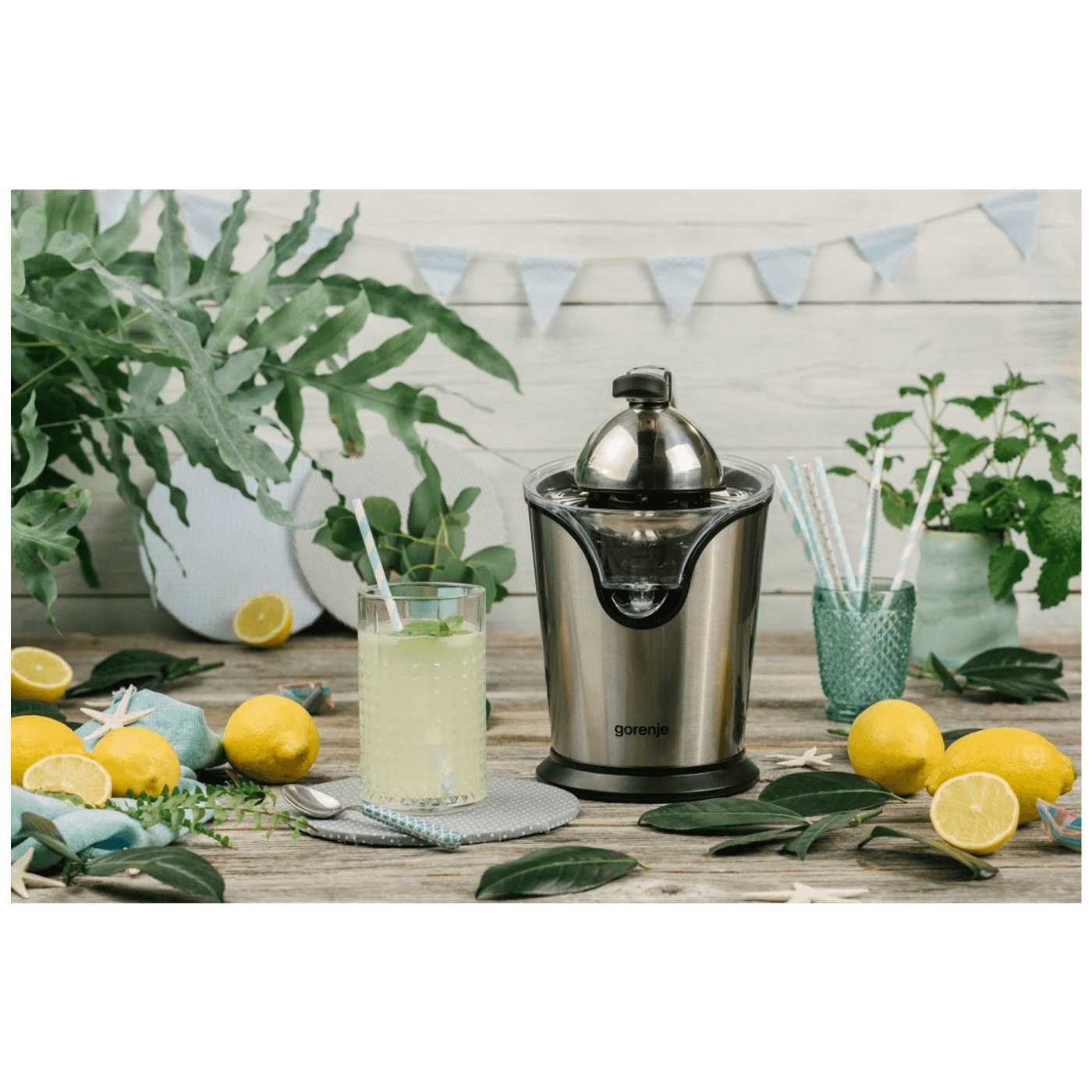 Gorenje Citruseta, 100 W - CJ100HE