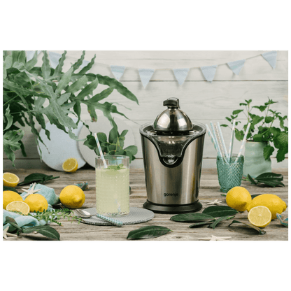 Gorenje Citruseta, 100 W - CJ100HE