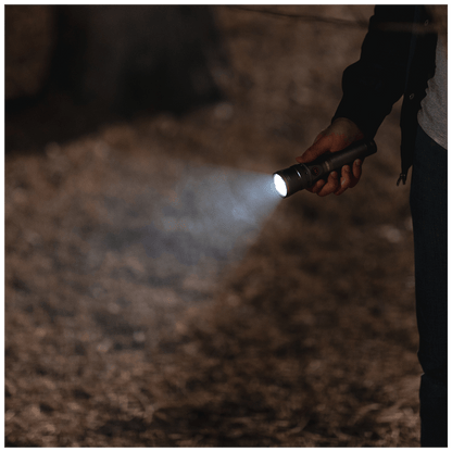 Nebo Ručna svjetiljka, LED, 400 lm, 2000 mAh, IPX4 - NEB-WLT-0024-G