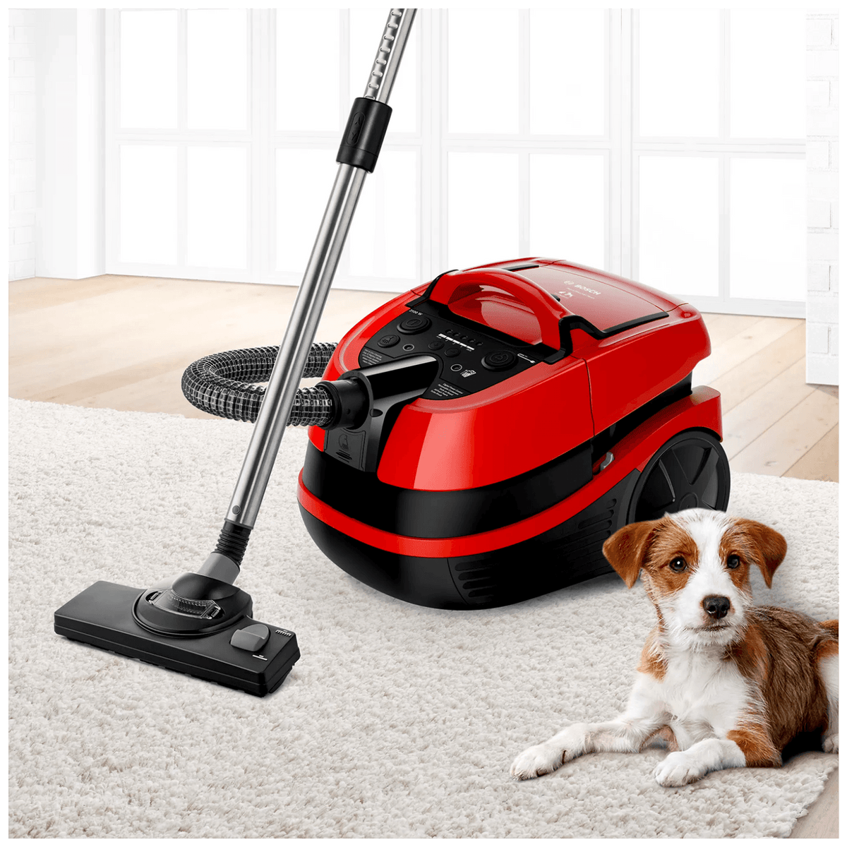 Bosch Usisavač, 2100W, 3u1 mokro-suho usisavanje, ProAnimal - BWD421PET