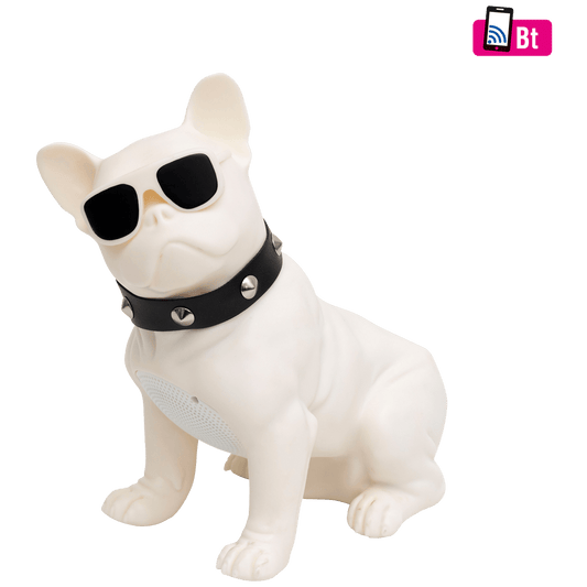 SAL Zvučnik bežični, Bluetooth, FM radio, USB, 5W - BT DOG