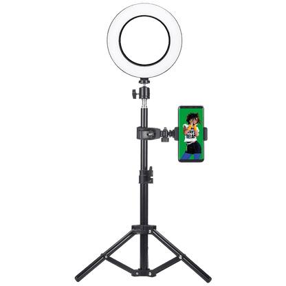 Easypix Photo studio, LED svjetlo, tripod, mikrofon, zelena pozadina - MyStudio Studio Kit