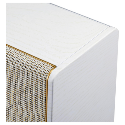 SAL Retro radio, AM-FM-BT-USB-mSD - RRT 6B