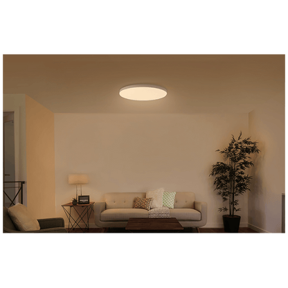 Xiaomi Pametna LED stropna svjetiljka, 24W - Mi Smart LED Celling Light (350mm)