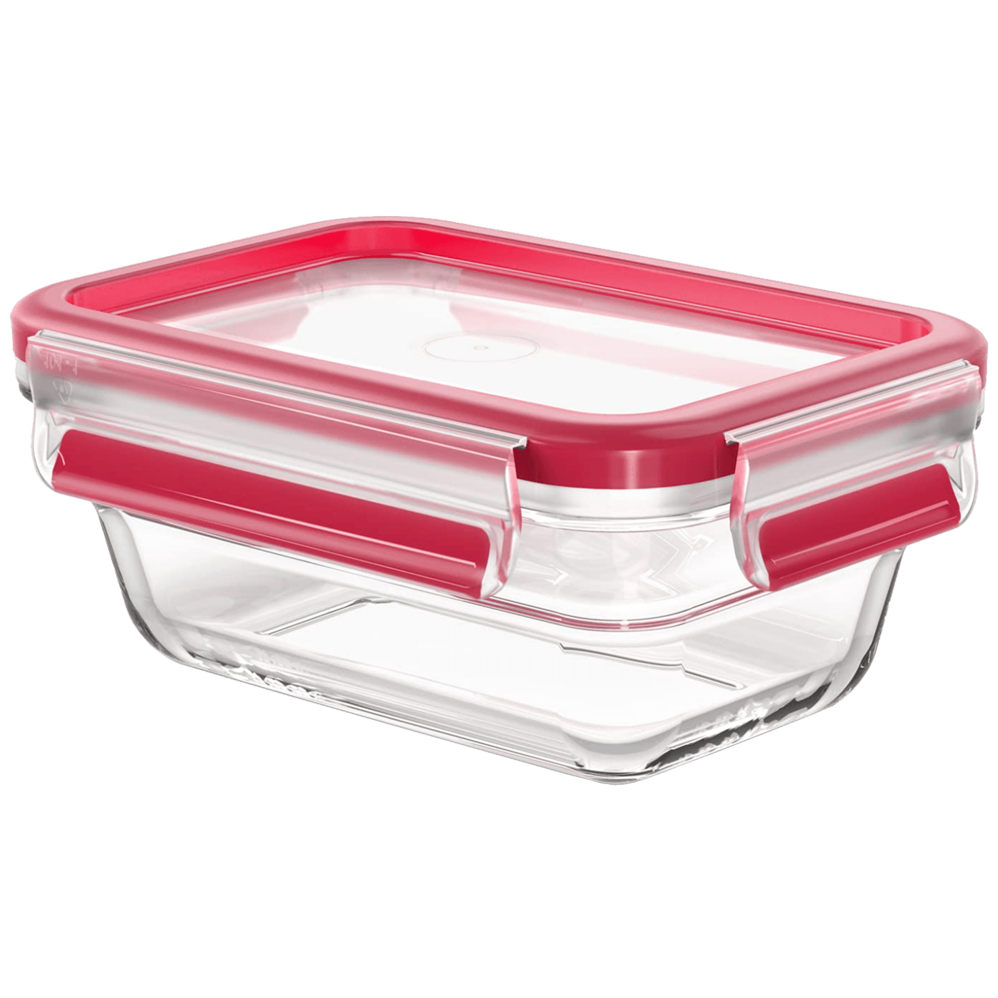 Tefal Staklena posuda sa poklopcem, 0.45 lit., MasterSeal Glass - N1040510
