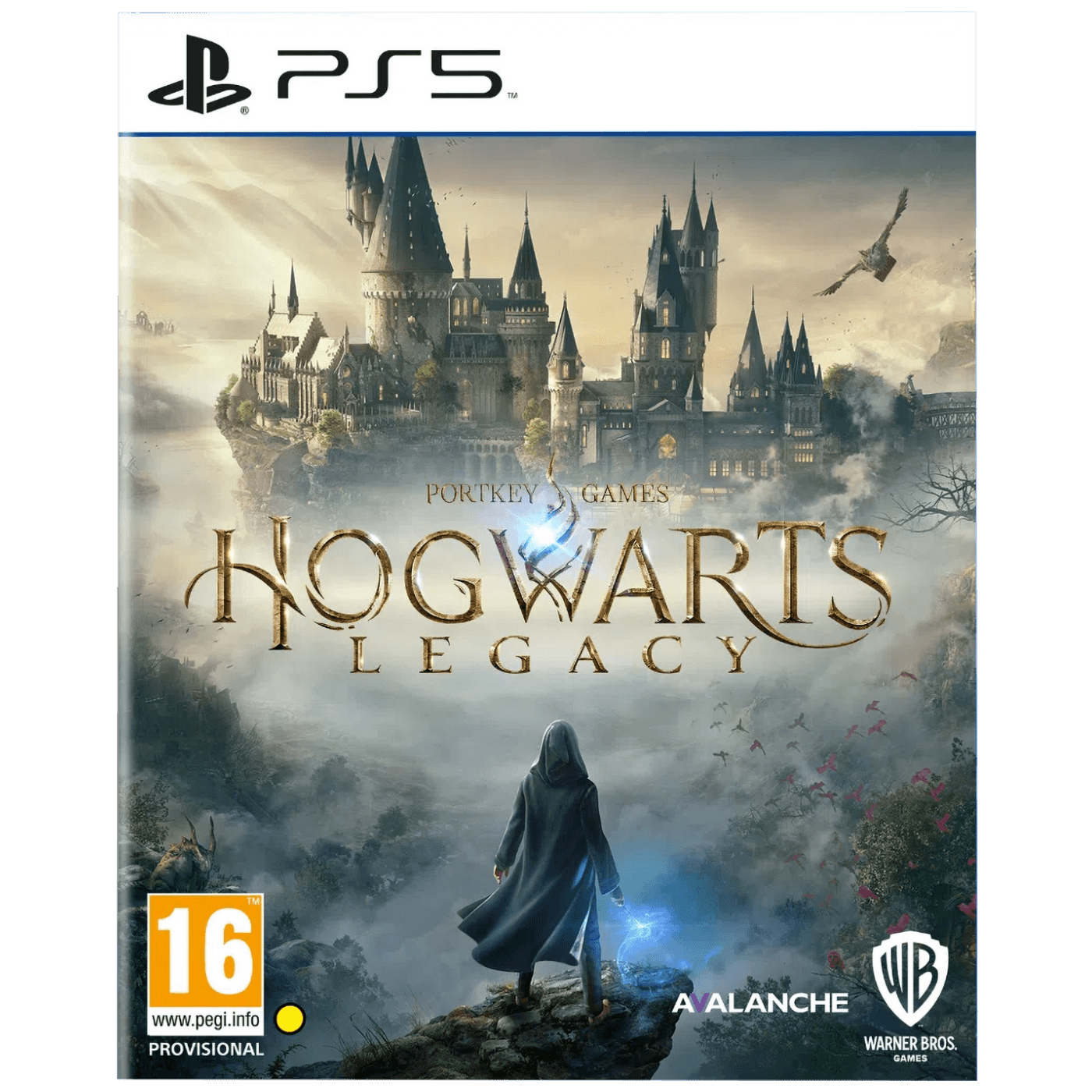 Warner Bros Igra PlayStaion 5: Hogwarts Legacy - Hogwarts Legacy PS5