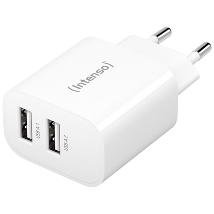 (Intenso) Punjač kučni, 2 x USB-A, 2.4A, 24W - Power Adapter W24AA