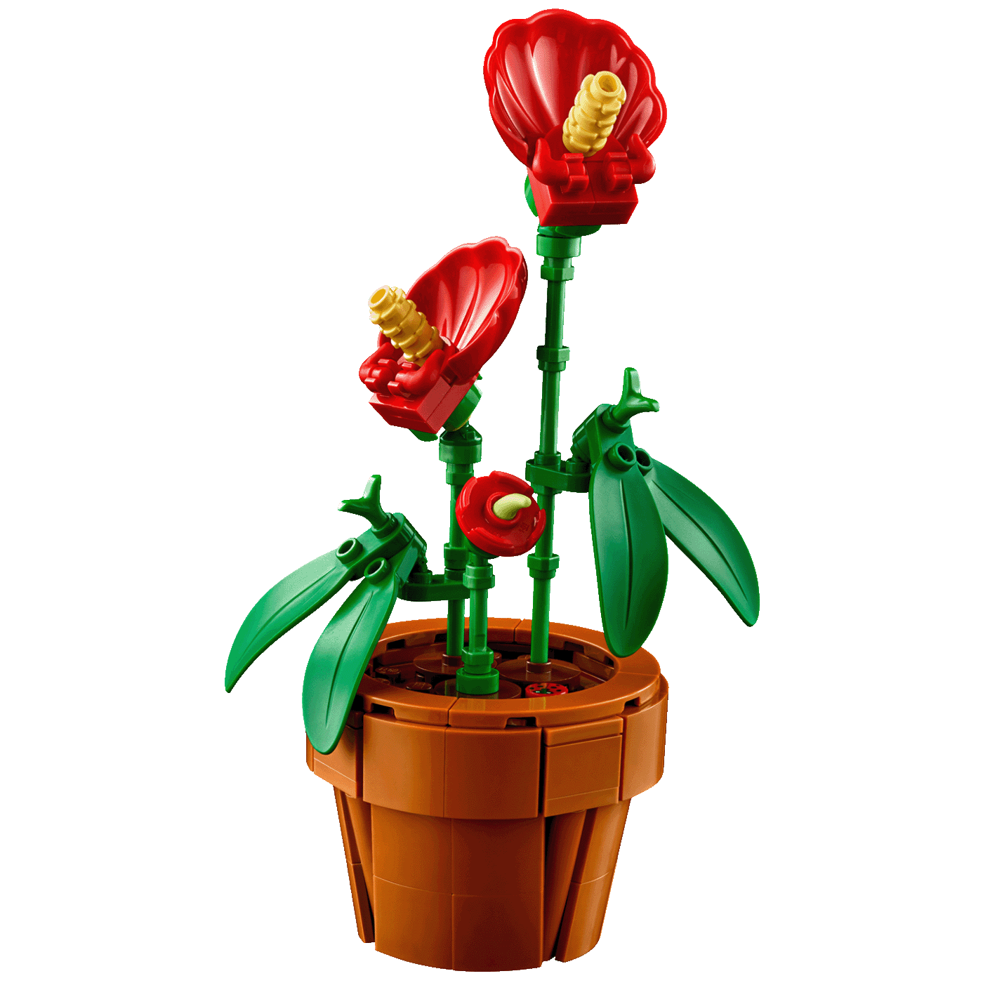 Lego Male biljke, LEGO Creator Expert