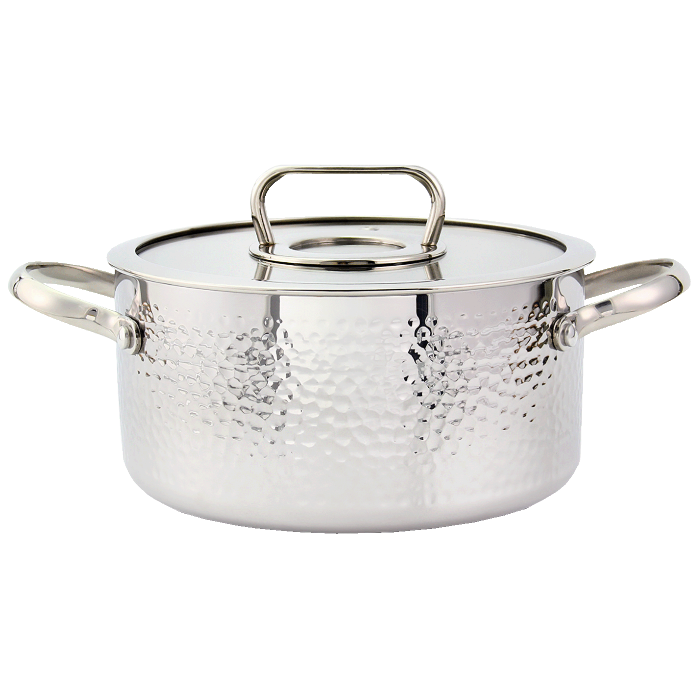 Zilan Lonac sa staklenim poklopcem, 24 cm, troslojno posuđe - ZLN1320