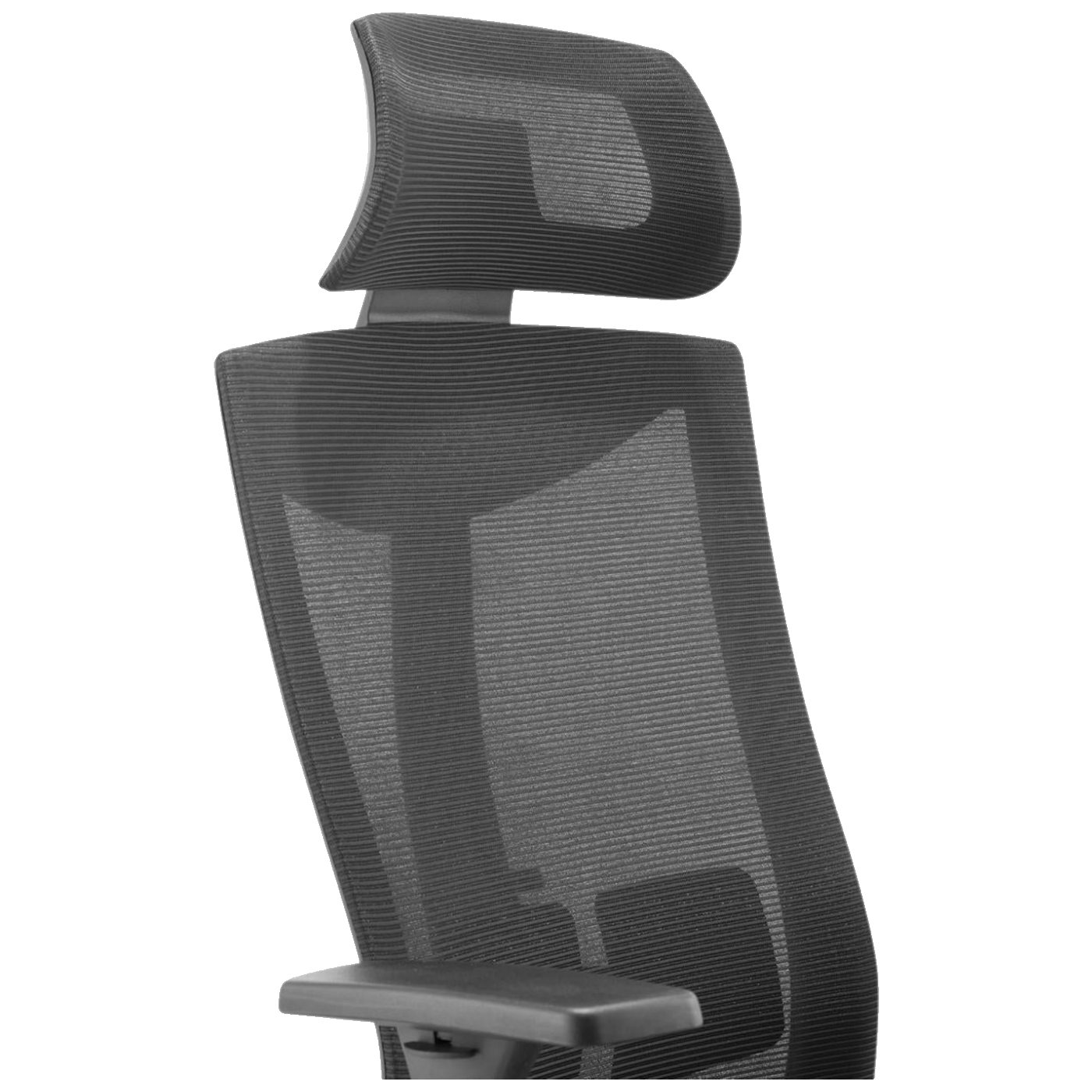 Ergo Office Stolica, uredska, 63 x 50 x 120-130 cm - ER-414