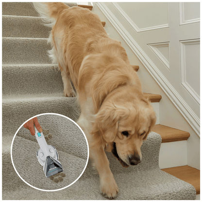 Shark Aparat za uklanjanje mrlja,  StainStriker Pet Stain Cleaner - PX200EUT