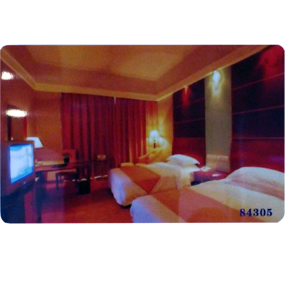 Eule RFID kartica - DOOR CARD