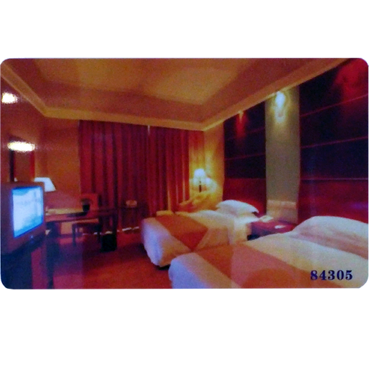 Eule RFID kartica - DOOR CARD