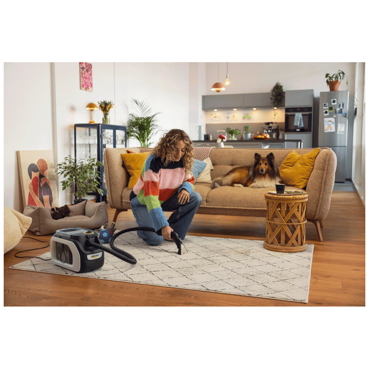 Karcher Usisavač za dubinsko pranje, 500W - SE 3 Compact Home N1