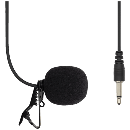 SAL Auto radio, 4 x 50W,  FM RDS, BT, USB, microSD - VB5500