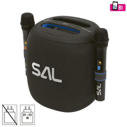 SAL Zvučnik bežični sa mikrofonom,Boombox,Bluetooth,100W,IPX5 - PARCUBE