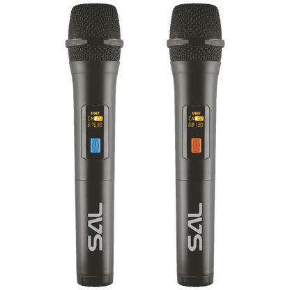 SAL Zvučnik bežični sa mikrofonom,Boombox,Bluetooth,100W,IPX5 - PARCUBE