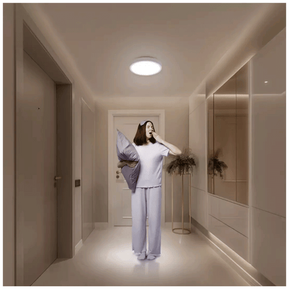 Xiaomi Pametna LED stropna svjetiljka, 17W - Mi Smart Ceiling Light D20