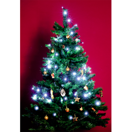 home Dekorativna LED rasvjeta - KI 50 LED/WH