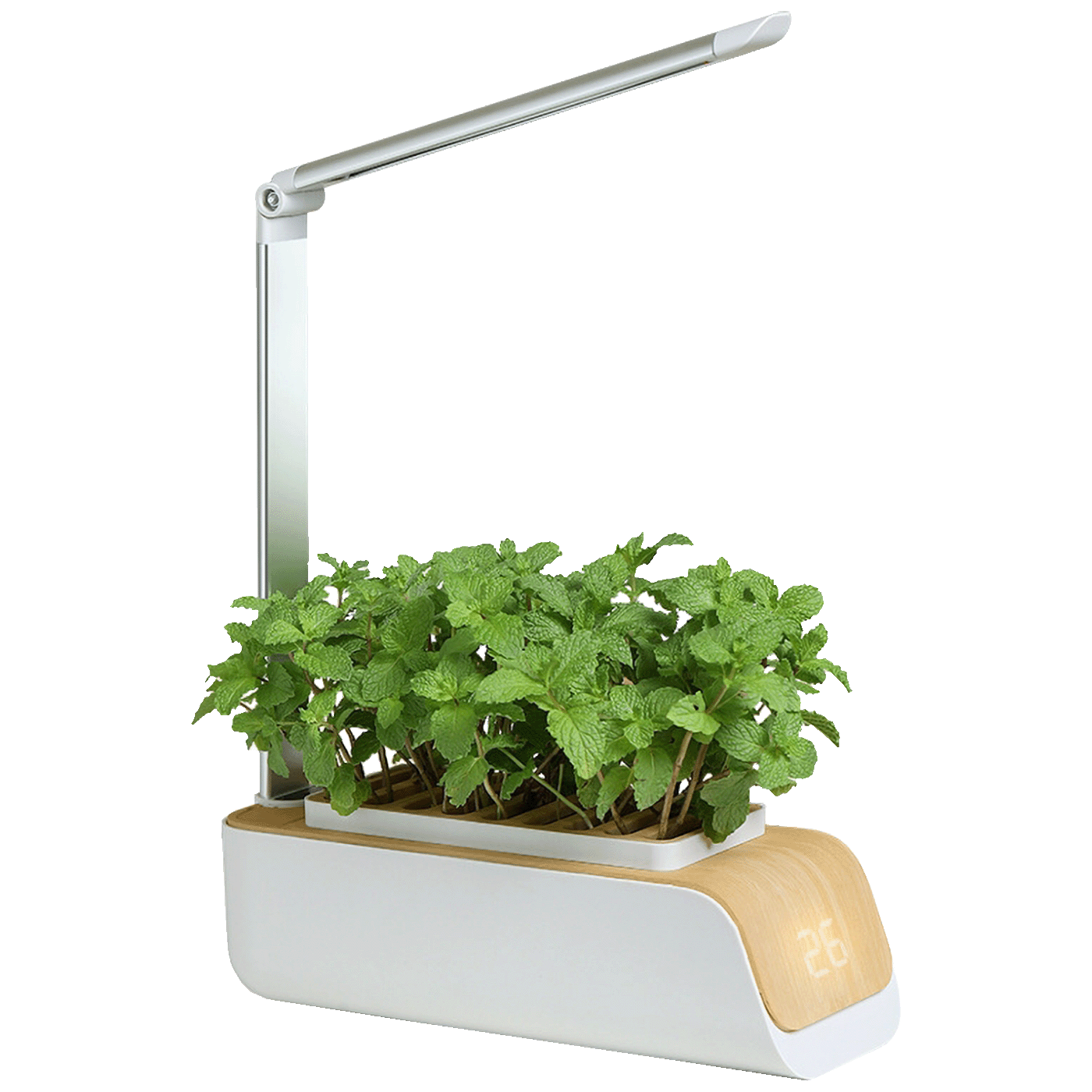 NN-Su Inteligentna lampa za rast biljaka, saksija - Vegetable Plant Growth Lamp