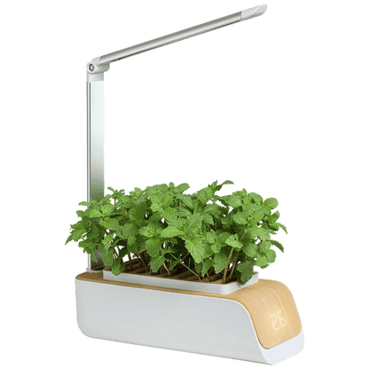 NN-Su Inteligentna lampa za rast biljaka, saksija - Vegetable Plant Growth Lamp