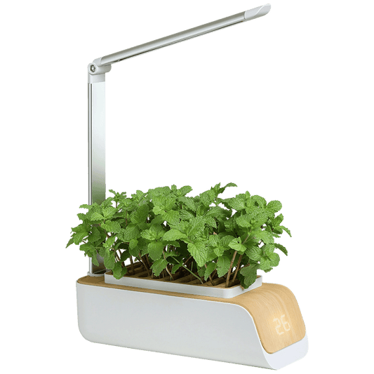 NN-Su Inteligentna lampa za rast biljaka, saksija - Vegetable Plant Growth Lamp