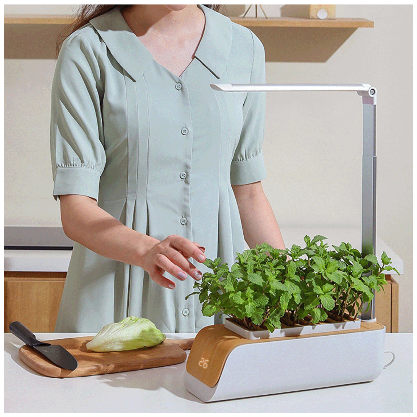 NN-Su Inteligentna lampa za rast biljaka, saksija - Vegetable Plant Growth Lamp