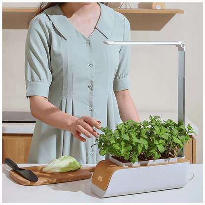 NN-Su Inteligentna lampa za rast biljaka, saksija - Vegetable Plant Growth Lamp