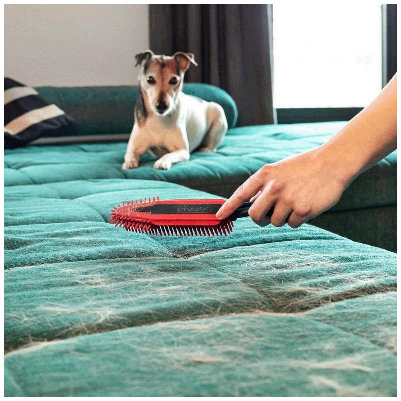 Vileda Elektrostatička četka za krzno i dlaku kućnih ljubimaca - Pet Pro electrostatic brush