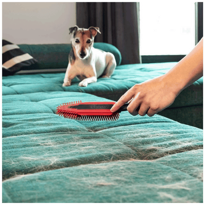 Vileda Elektrostatička četka za krzno i dlaku kućnih ljubimaca - Pet Pro electrostatic brush