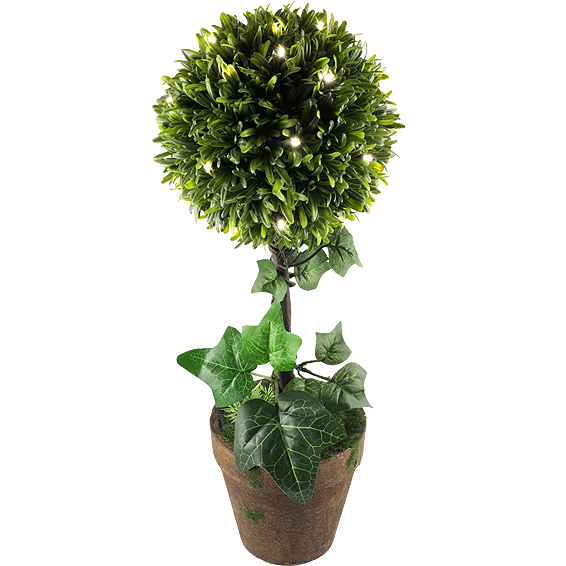 home Dekorativna rasvjeta, šimšir - GPL 25