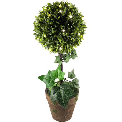 home Dekorativna rasvjeta, šimšir - GPL 25