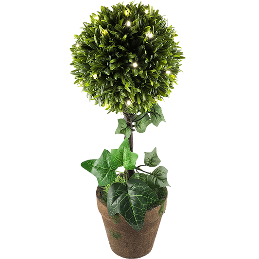 home Dekorativna rasvjeta, šimšir - GPL 25