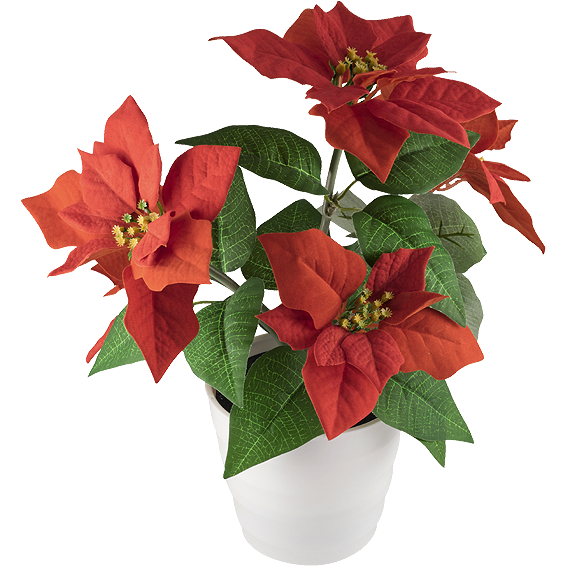 home Dekorativna rasvjeta, ruža - SCF 5