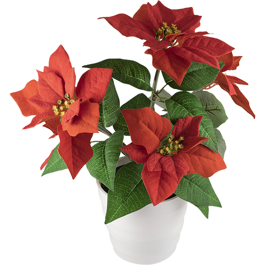 home Dekorativna rasvjeta, ruža - SCF 5