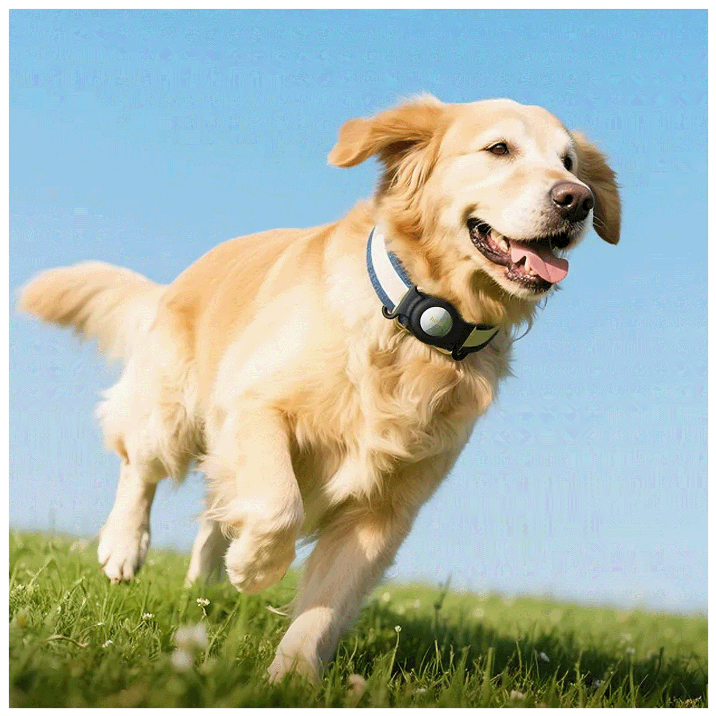 hoco. Inteligentni lokator uređaja, Apple Tag, ljubimci pas/mačka - E91C Tiger