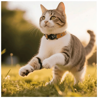 hoco. Inteligentni lokator uređaja, Apple Tag, ljubimci pas/mačka - E91C Tiger