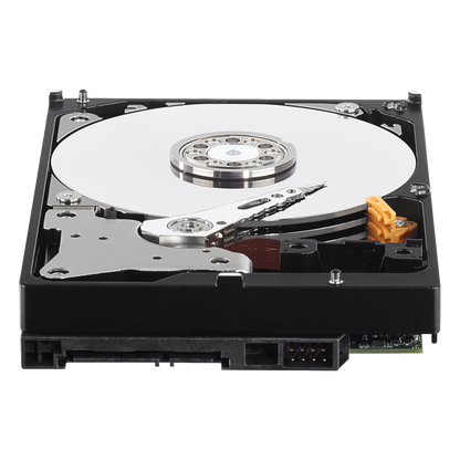 Western Digital Hard disk 3,5", 1TB, Caviar Purple, pog. za video nadzor - WD10PURZ