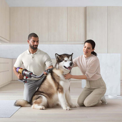 Dyson Pet Cleaning Kit