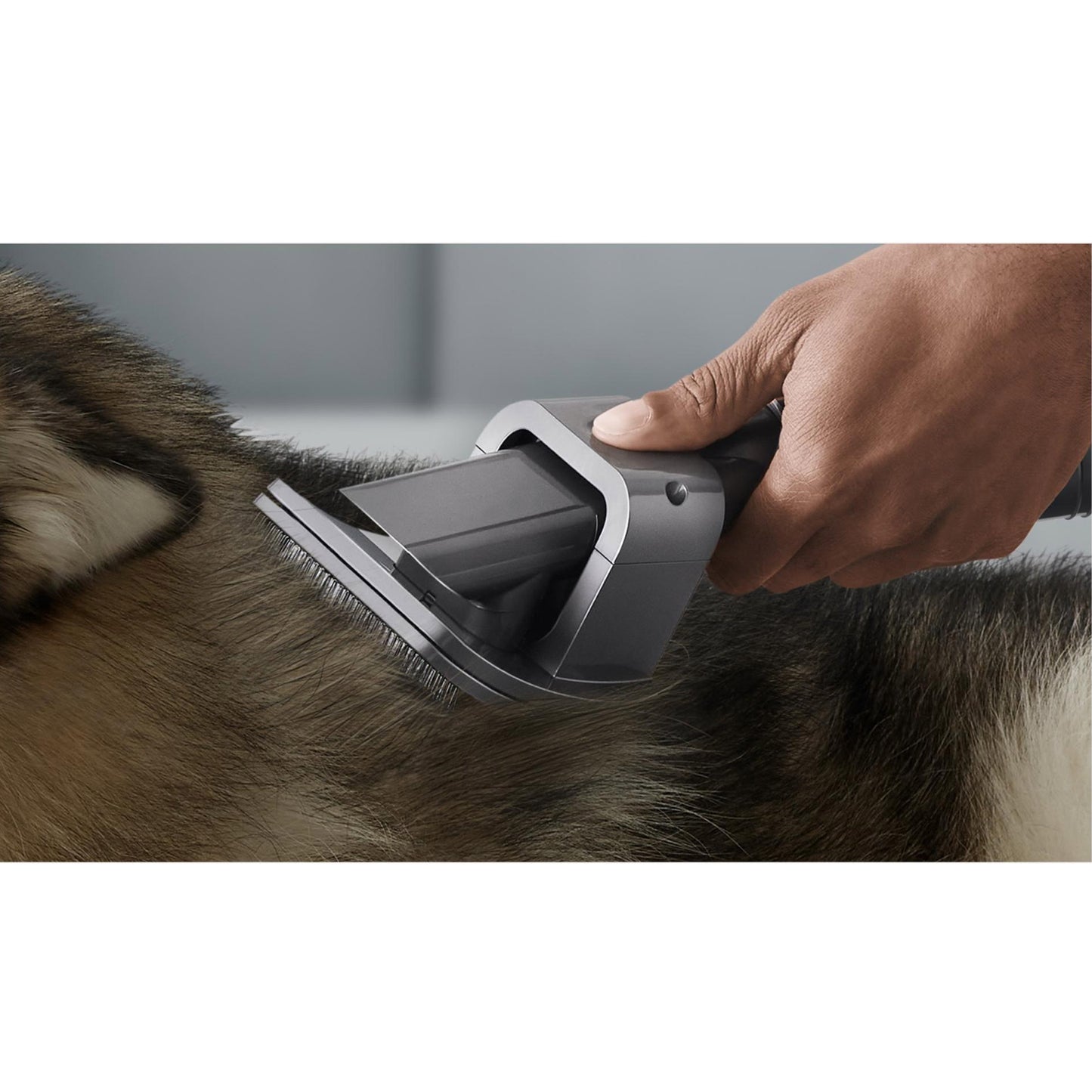 Dyson Pet Cleaning Kit