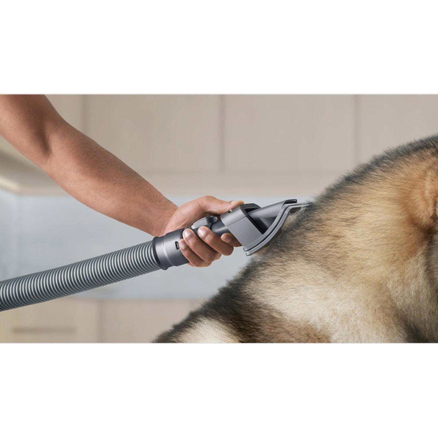 Dyson Pet Cleaning Kit