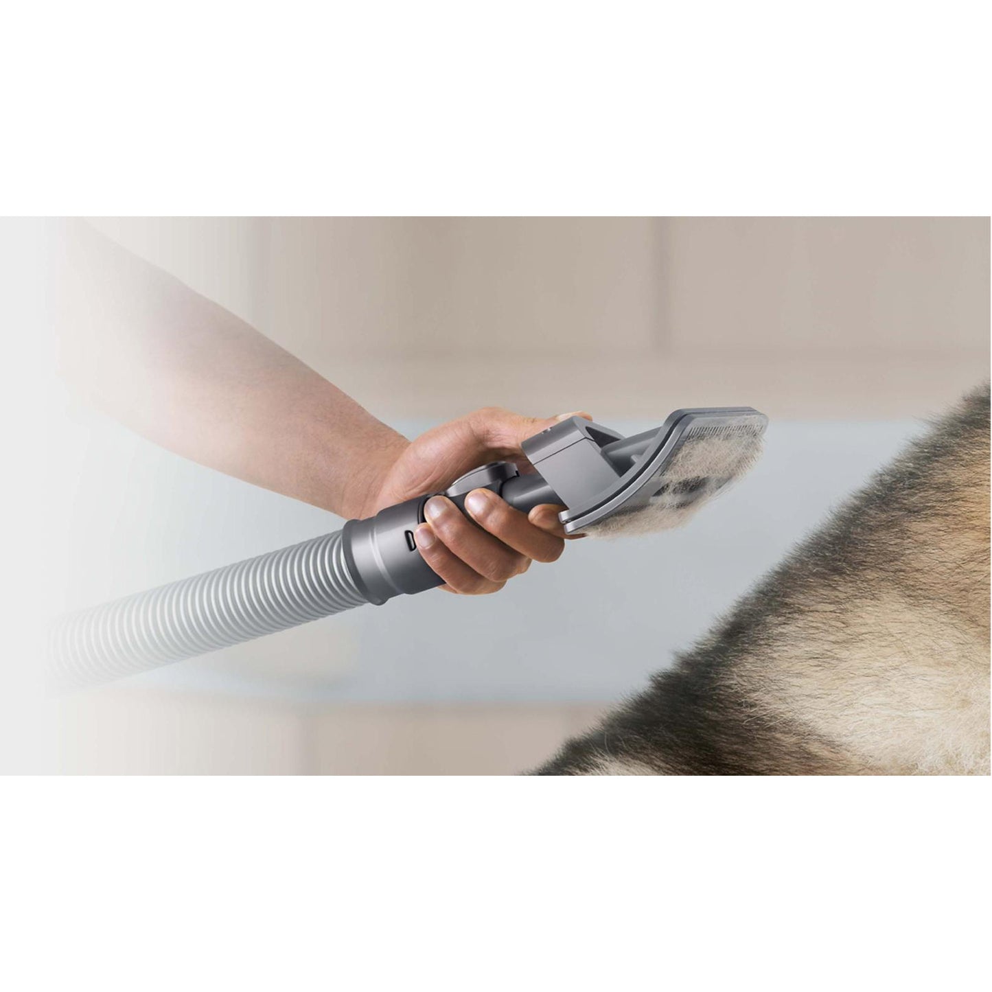 Dyson Pet Cleaning Kit
